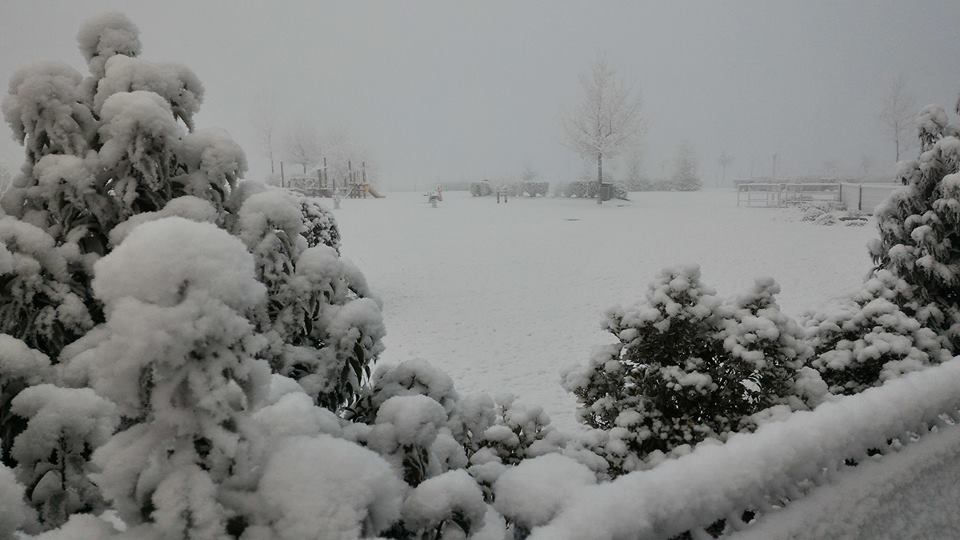 Actualités météo Qu'est ce que la neige industrielle ? 15/01/2022